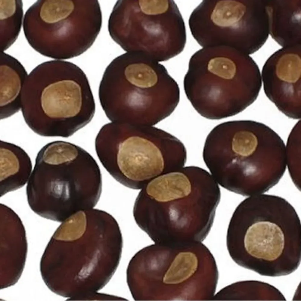Buckeyes  for crafting